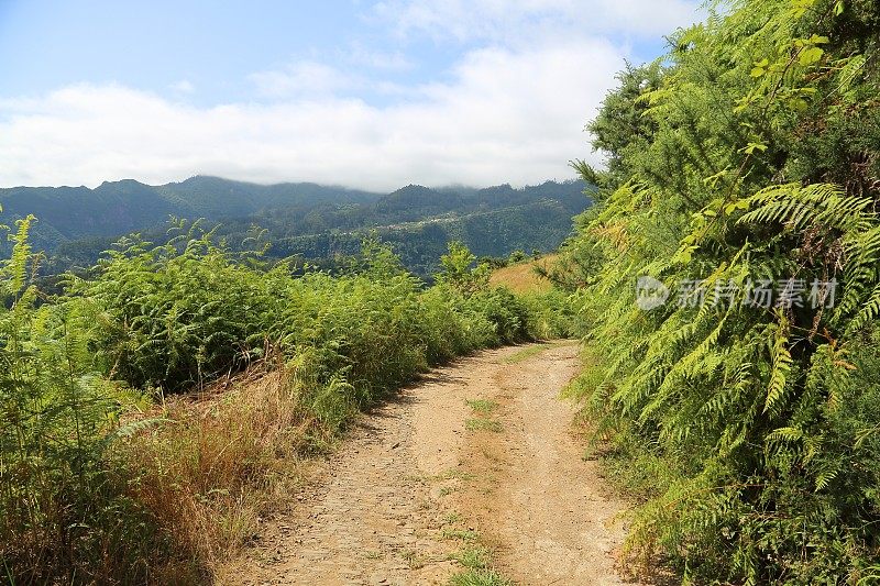 Pico do Areeiro 1818米山区-马德里